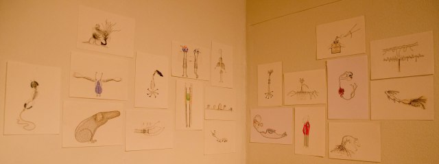 Tilorðningar_myndir