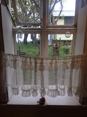 12092559_939164282797083_1771503652_n